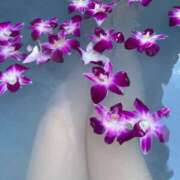 ヒメ日記 2025/08/31 19:51 投稿 葉月うた エステdeシンデレラ横浜（シンデレラグループ）