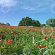 ヒメ日記 2025/05/03 15:08 投稿 かなで ホテピン