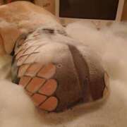 ヒメ日記 2025/04/01 22:17 投稿 しずか ダンシングおっぱいTEAM爆