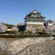 ヒメ日記 2025/04/15 13:26 投稿 Riisa(りいさ） AMATERAS(アマテラス)(福山)