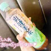 ヒメ日記 2025/08/15 11:07 投稿 Riisa(りいさ） AMATERAS(アマテラス)(福山)