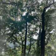 ヒメ日記 2025/08/22 21:32 投稿 Riisa(りいさ） AMATERAS(アマテラス)(福山)