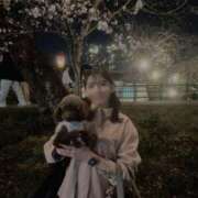 ヒメ日記 2025/04/22 22:02 投稿 華恋/かれん　centu STYLISH BACH