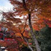 ヒメ日記 2025/12/06 11:29 投稿 華恋/かれん　centu STYLISH BACH