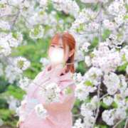 ヒメ日記 2026/04/14 07:44 投稿 らな それいけ！ヤリスギ学園～舐めたくてグループ横浜校～