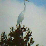 ヒメ日記 2024/12/20 08:45 投稿 めぐみ 人妻小旅行～神奈川県央編