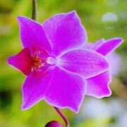 ヒメ日記 2025/05/08 12:53 投稿 めぐみ 人妻小旅行～神奈川県央編