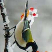 ヒメ日記 2025/05/15 17:35 投稿 めぐみ 人妻小旅行～神奈川県央編