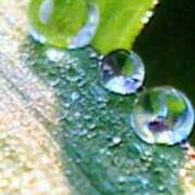 ヒメ日記 2025/06/01 17:37 投稿 めぐみ 人妻小旅行～神奈川県央編