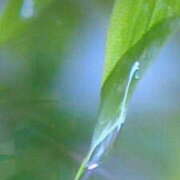 ヒメ日記 2025/07/18 08:34 投稿 めぐみ 人妻小旅行～神奈川県央編