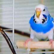 ヒメ日記 2025/08/28 14:38 投稿 めぐみ 人妻小旅行～神奈川県央編