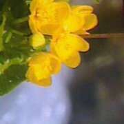 ヒメ日記 2025/10/02 16:32 投稿 めぐみ 人妻小旅行～神奈川県央編