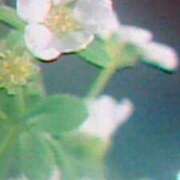 ヒメ日記 2025/10/23 15:32 投稿 めぐみ 人妻小旅行～神奈川県央編