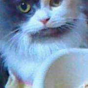 ヒメ日記 2025/11/01 13:59 投稿 めぐみ 人妻小旅行～神奈川県央編