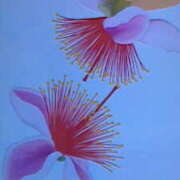 ヒメ日記 2025/12/08 16:23 投稿 めぐみ 人妻小旅行～神奈川県央編