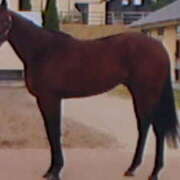 めぐみ ☆謹賀新年☆ 人妻小旅行～神奈川県央編