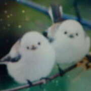 めぐみ こんばんは☆ 人妻小旅行～神奈川県央編