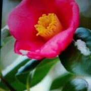 ヒメ日記 2026/02/07 17:26 投稿 めぐみ 人妻小旅行～神奈川県央編