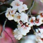 ヒメ日記 2026/02/20 20:52 投稿 めぐみ 人妻小旅行～神奈川県央編