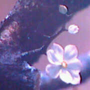 ヒメ日記 2026/03/02 16:05 投稿 めぐみ 人妻小旅行～神奈川県央編