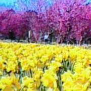 ヒメ日記 2026/03/13 17:13 投稿 めぐみ 人妻小旅行～神奈川県央編