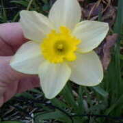 ヒメ日記 2026/03/27 16:33 投稿 めぐみ 人妻小旅行～神奈川県央編