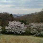 ヒメ日記 2026/04/09 13:17 投稿 めぐみ 人妻小旅行～神奈川県央編