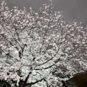 ヒメ日記 2025/04/05 18:34 投稿 れい 11チャンネル