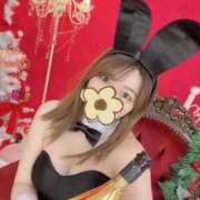 ヒメ日記 2025/11/30 14:58 投稿 カレン バニーコレクション秋田店