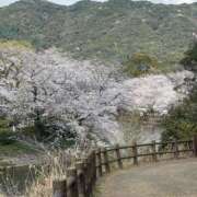 ヒメ日記 2025/04/06 09:45 投稿 のん SUZUME