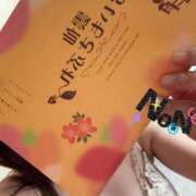 ヒメ日記 2025/11/19 09:45 投稿 のん SUZUME