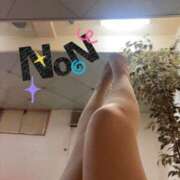 ヒメ日記 2025/11/21 12:04 投稿 のん SUZUME