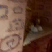 ヒメ日記 2025/12/09 14:10 投稿 ゆず ドM女学園大阪