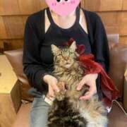 ヒメ日記 2025/08/10 11:55 投稿 きい ぷるるんギャング