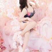 ヒメ日記 2025/03/30 12:45 投稿 葵　えみ 川崎南町人妻高級ソープ エル・カーヒル(ELCURHIL)秘密の刻