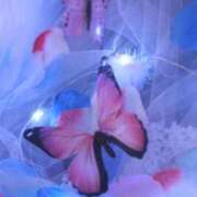 ヒメ日記 2025/10/04 11:01 投稿 葵　えみ 川崎南町人妻高級ソープ エル・カーヒル(ELCURHIL)秘密の刻