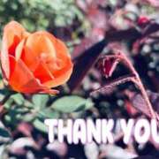 ヒメ日記 2024/12/19 18:33 投稿 はづき モアグループ熊谷人妻花壇