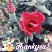 ヒメ日記 2025/01/13 19:51 投稿 はづき モアグループ熊谷人妻花壇