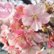 ヒメ日記 2025/04/03 19:42 投稿 はづき モアグループ熊谷人妻花壇