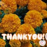 ヒメ日記 2025/11/20 18:30 投稿 はづき モアグループ熊谷人妻花壇