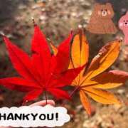 ヒメ日記 2025/11/30 20:25 投稿 はづき モアグループ熊谷人妻花壇