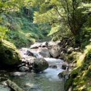 ヒメ日記 2025/06/29 17:02 投稿 もも プレジデントオアシス