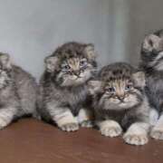 ヒメ日記 2025/07/31 11:44 投稿 もも プレジデントオアシス