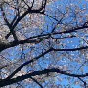 もも 花粉症 プレジデントオアシス