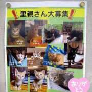 ヒメ日記 2023/10/06 07:15 投稿 なおこ 完熟ばなな神戸・三宮店