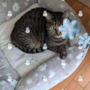 ヒメ日記 2024/12/11 17:16 投稿 なおこ 完熟ばなな神戸・三宮店