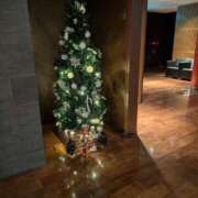 ヒメ日記 2024/12/12 13:45 投稿 なおこ 完熟ばなな神戸・三宮店