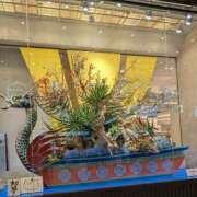 ヒメ日記 2025/01/07 15:35 投稿 なおこ 完熟ばなな神戸・三宮店