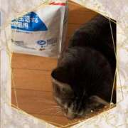 ヒメ日記 2025/02/23 11:15 投稿 なおこ 完熟ばなな神戸・三宮店