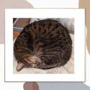 ヒメ日記 2025/03/09 15:26 投稿 なおこ 完熟ばなな神戸・三宮店